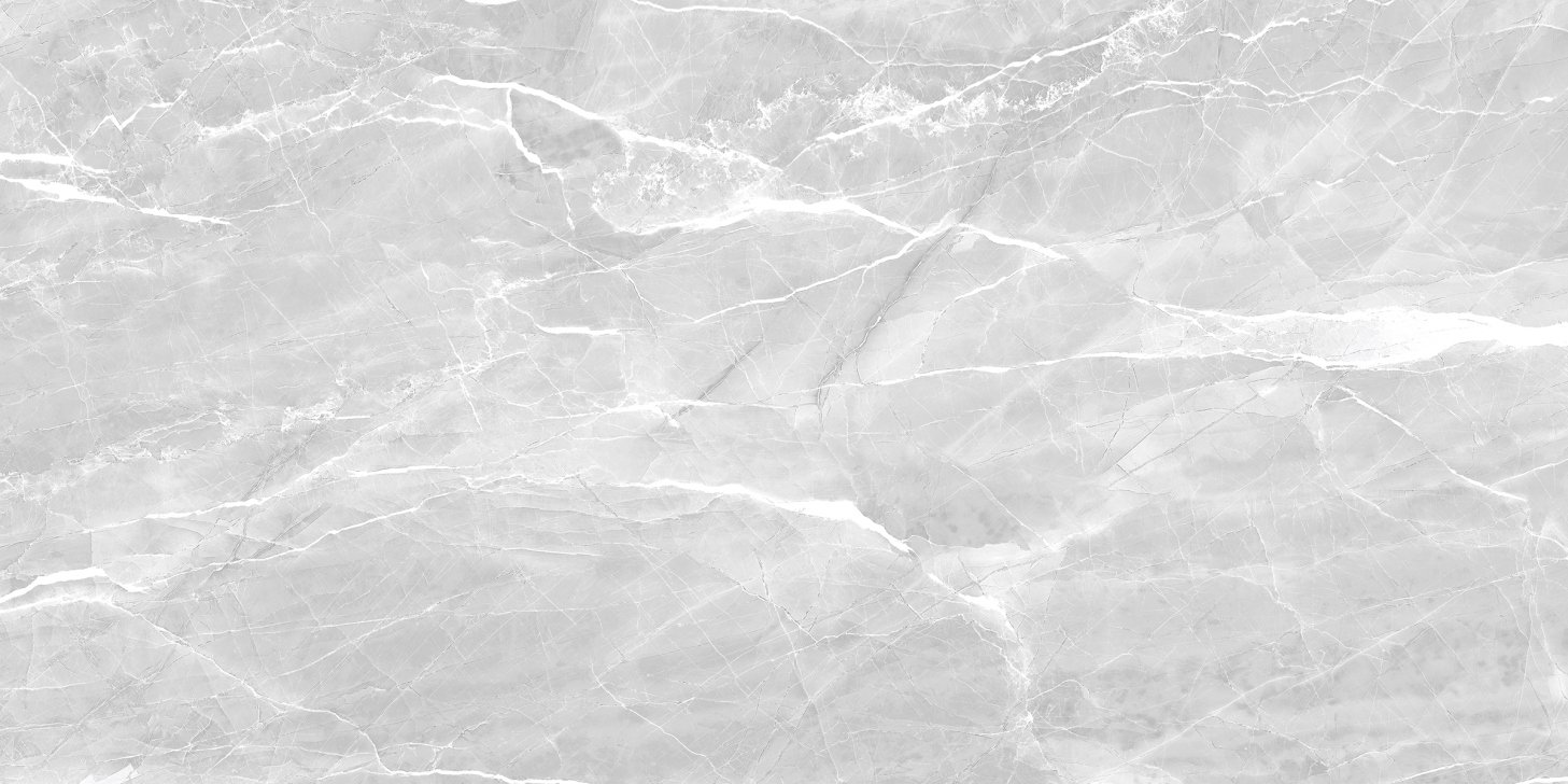 Eprika Light Grey, carrelage grand format 600 × 1200 mm (60 × 120 cm), fini glossy, World Export & Co.