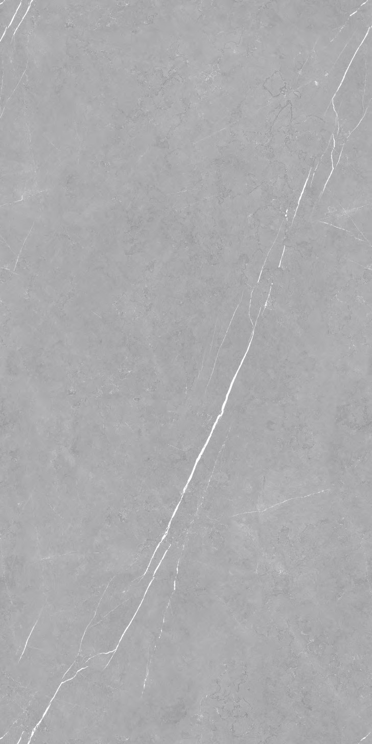 Reackto Grey, carrelage grand format 600 × 1200 mm (60 × 120 cm), fini glossy, World Export & Co.